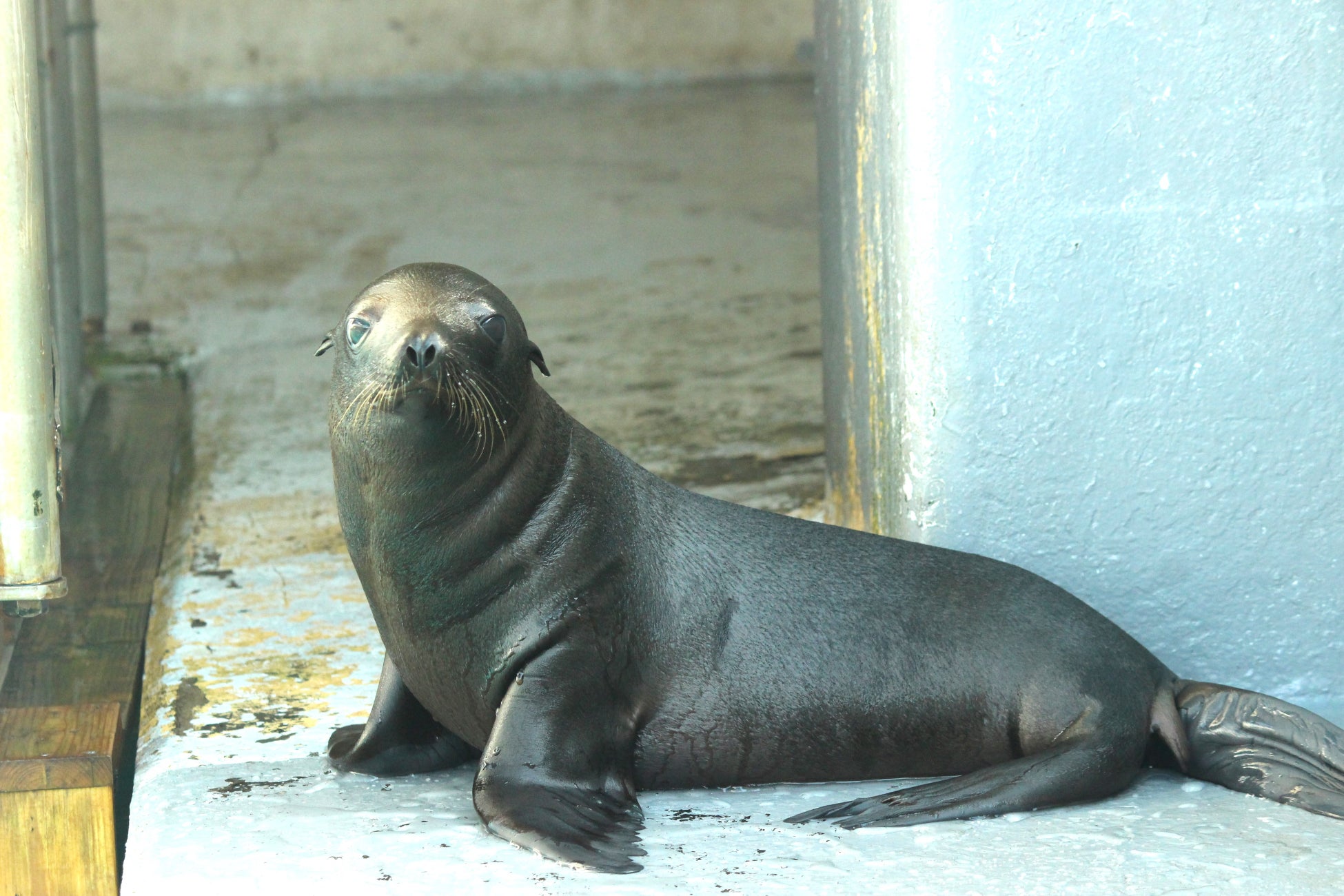 【ヒルトン横浜】『ホテル×ラウンジ×貸切』― 1日1組限定の二次会プランを販売開始。さらにスペシャリティレストラン「Ocean Milano」では、ランチタイムの団体貸切プランも受付開始。