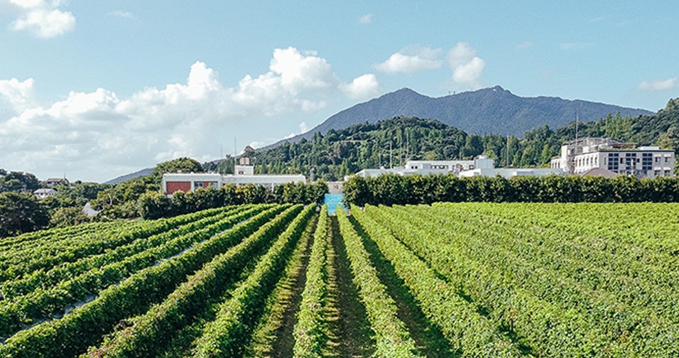 【イベントレポート】神戸のホテルで「こども食堂」、地域の絆を深める新たな試みを毎月開催。7月はバイキング形式の食事とアイス作り体験が子どもたちに大好評！
