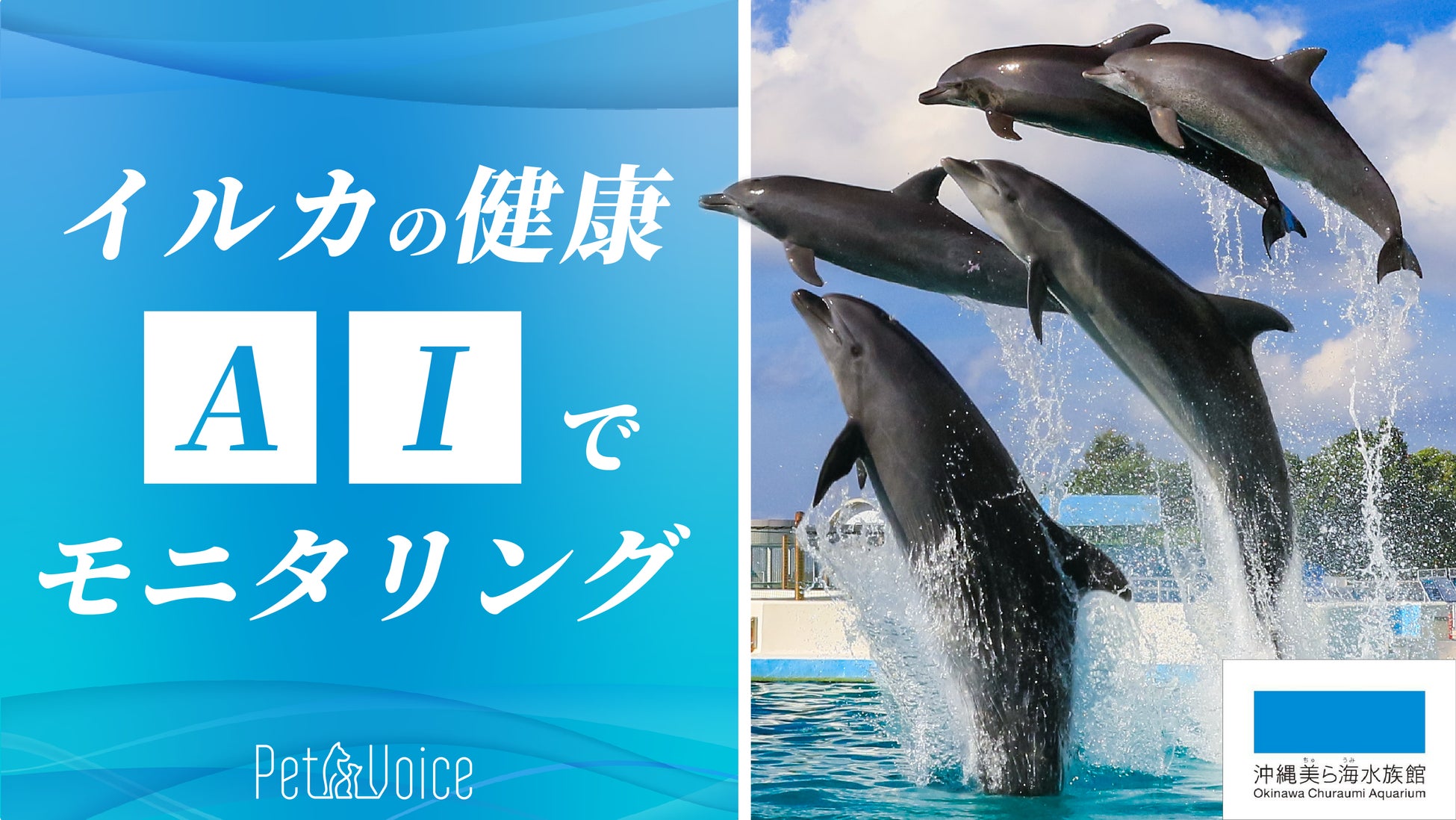 自転車パーツブランド「GORIX」が新商品の、本革サドル(Vintage1973)のXプレゼントキャンペーンを開催!!【〜8/11(祝)AM11:59まで】