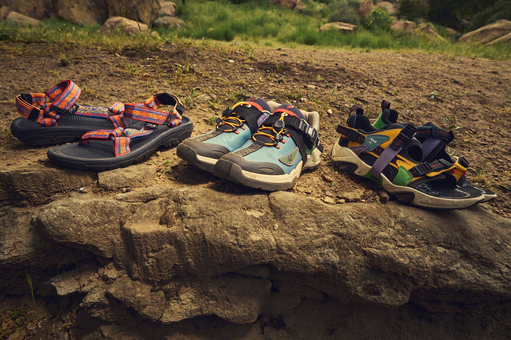 犬猫の首輪型健康管理デバイスを手がけるPetVoiceが「イルカの健康管理」へ挑戦!沖縄美ら海水族館と共同開発スタート