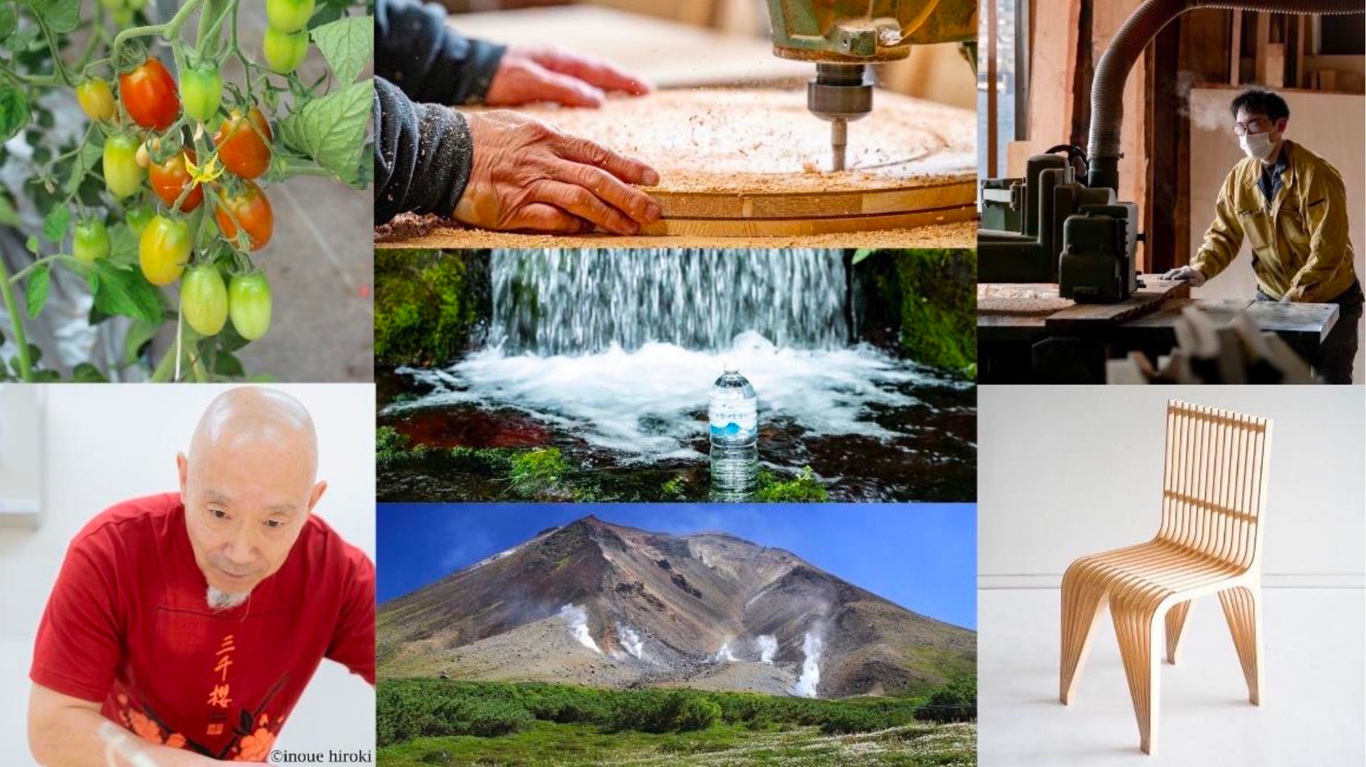 さっぽろ羊ヶ丘展望台「羊のお名前募集キャンペーン」のお知らせ