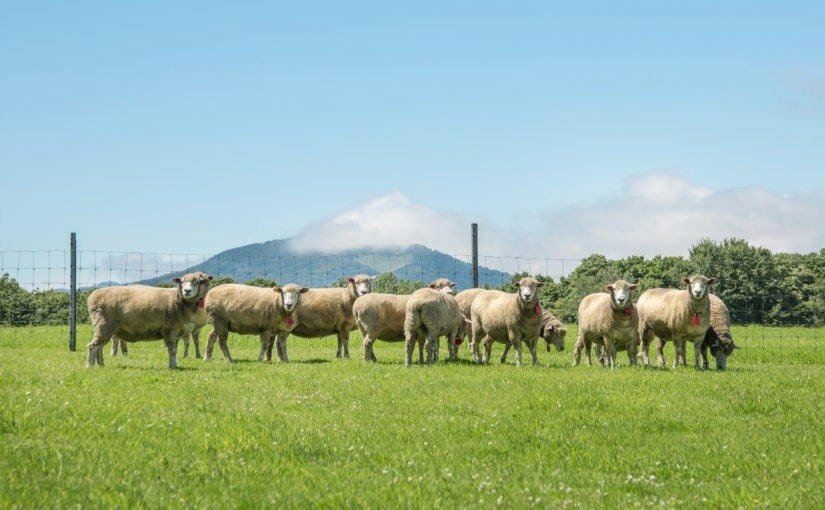 かっこよくて可愛い「ゴジラ&ハム太郎」のオリジナル缶バッジをつくろう!ニジゲンノモリ『ゴジラ缶バッジ制作体験 ~ゴジラ&ハム太郎Ver.~』