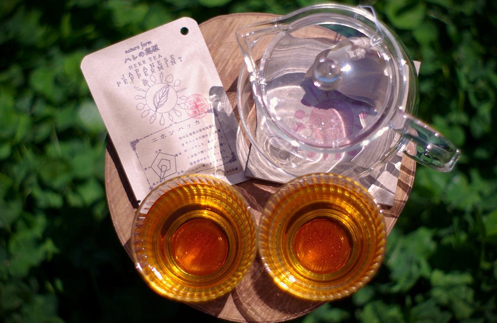 東京スカイツリーで夏の特別な思い出を!お子さま向け特別企画! 夏休み 東京スカイツリー(R)キッズユニフォーム体験