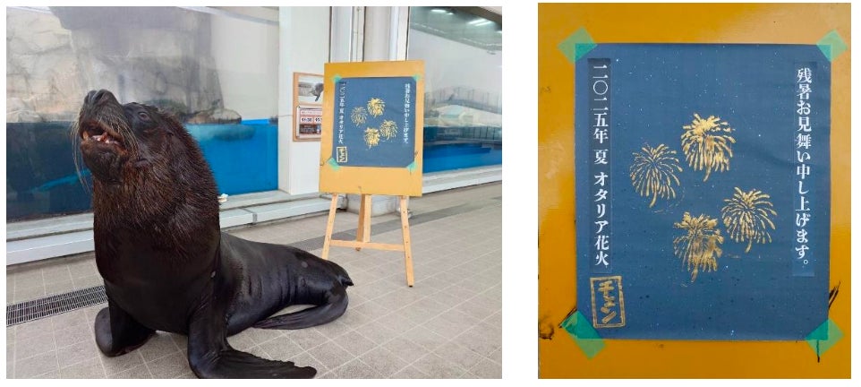 【夏に大活躍のアイテムが充実!】最大60%OFFのサマーセールを開催。