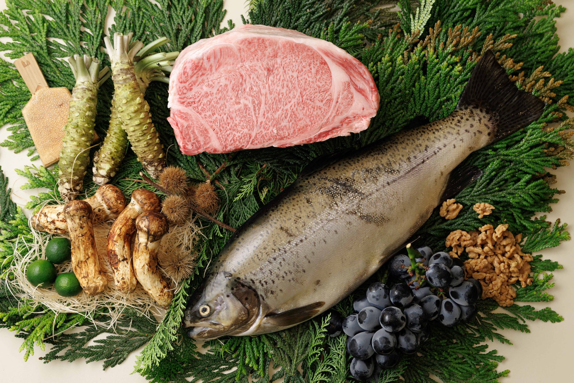 ふるさと納税を活用して 豊かな自然に囲まれゆったりとした時間が流れる滋賀県へ!