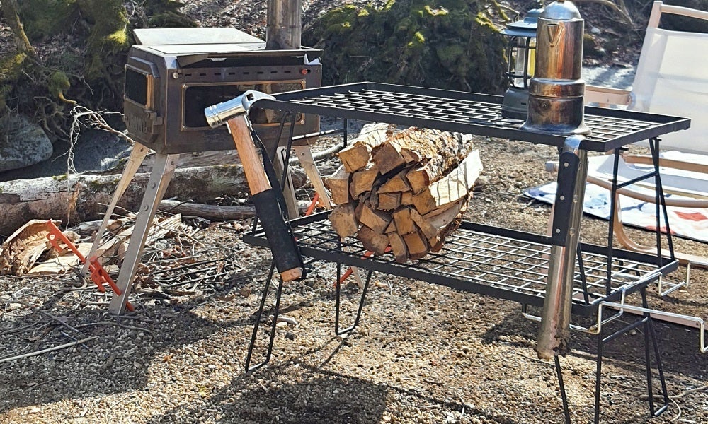 真空ジェシカ VS イルカ 夢のコラボが新江ノ島水族館で実現!!9月23日(火・祝)イベント開催!