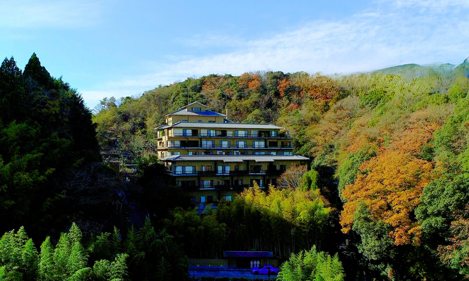 昭和レトロな温泉銭湯 玉川温泉で、先人の知恵を借りた夏にぴったりのお風呂「梨の葉風呂」を開催します