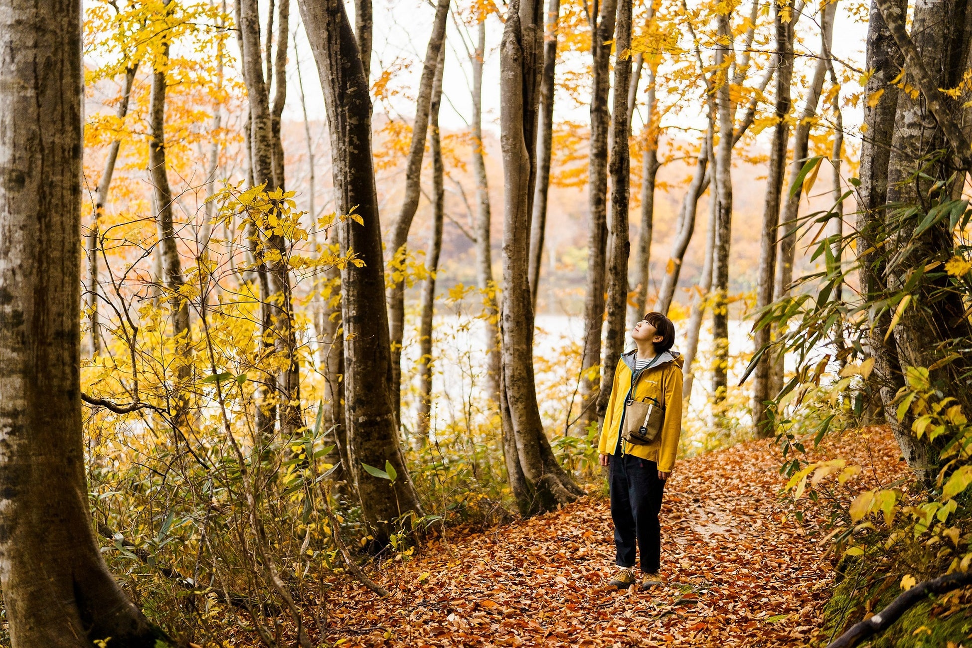 【ヒルトン横浜】秋のスイーツ栗がメイン『アフタヌーンティー~栗とショコラのハーモニー~』を開催。