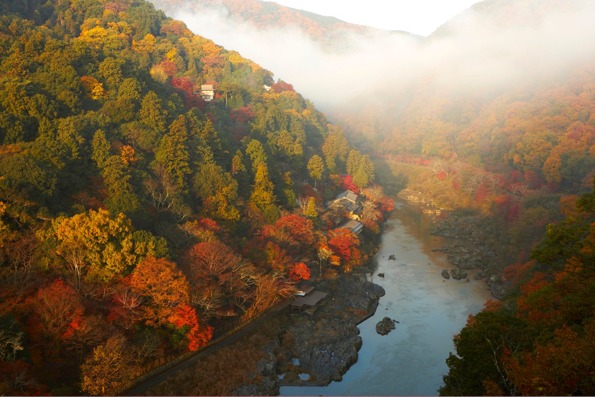 【西武・プリンスホテルズワールドワイド】「絶景の旅先×ピアノ」で旅の喜びが増幅する体験 ヤマハ「LovePiano®」とのコラボレーション企画を透き通る海と白い砂浜の絶景 下田プリンスホテルで開催