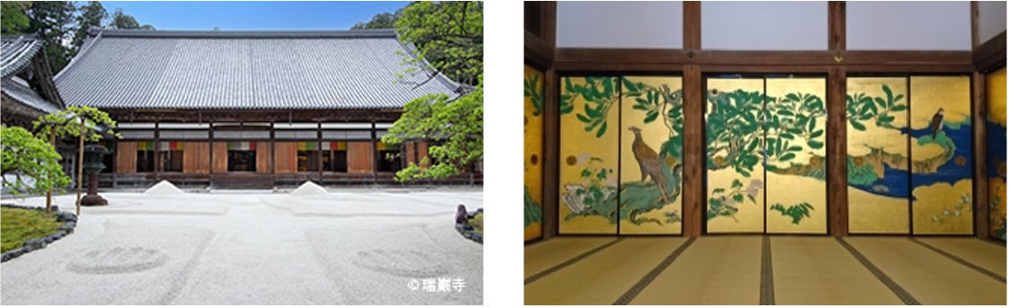 コキアが埋めつくす「みはらしの丘」入り口に、今年も “ウェルカムガーデン” が登場!現在見頃です(国営ひたち海浜公園)