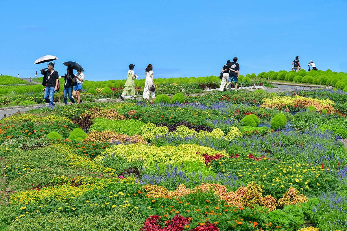 ハローキティと国内トップマジシャンによるイリュージョンショー開催 魔法使いの世界へ!スペシャルイベント「PUROHALLOWEEN」9月5日(金)スタート