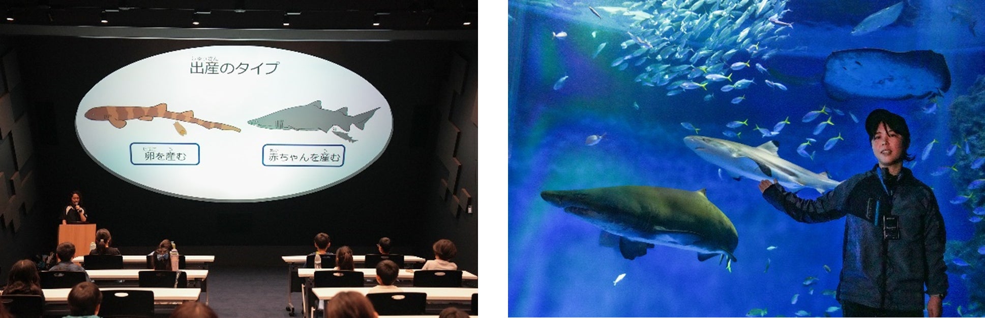 新アトラクション「スモッグ ラッシュ アドベンチャー」2026年3月7日(土)OPEN