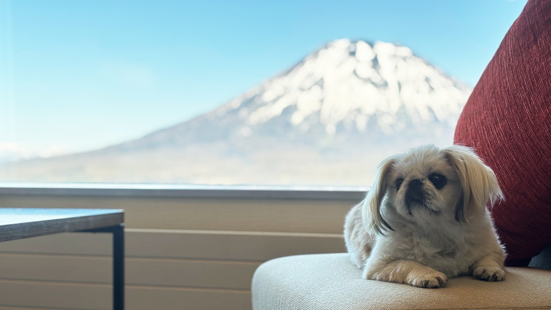 【ホテルメトロポリタン】和・洋・中の専門店でご利用いただける「大切な日を彩る七五三メニュー」2025