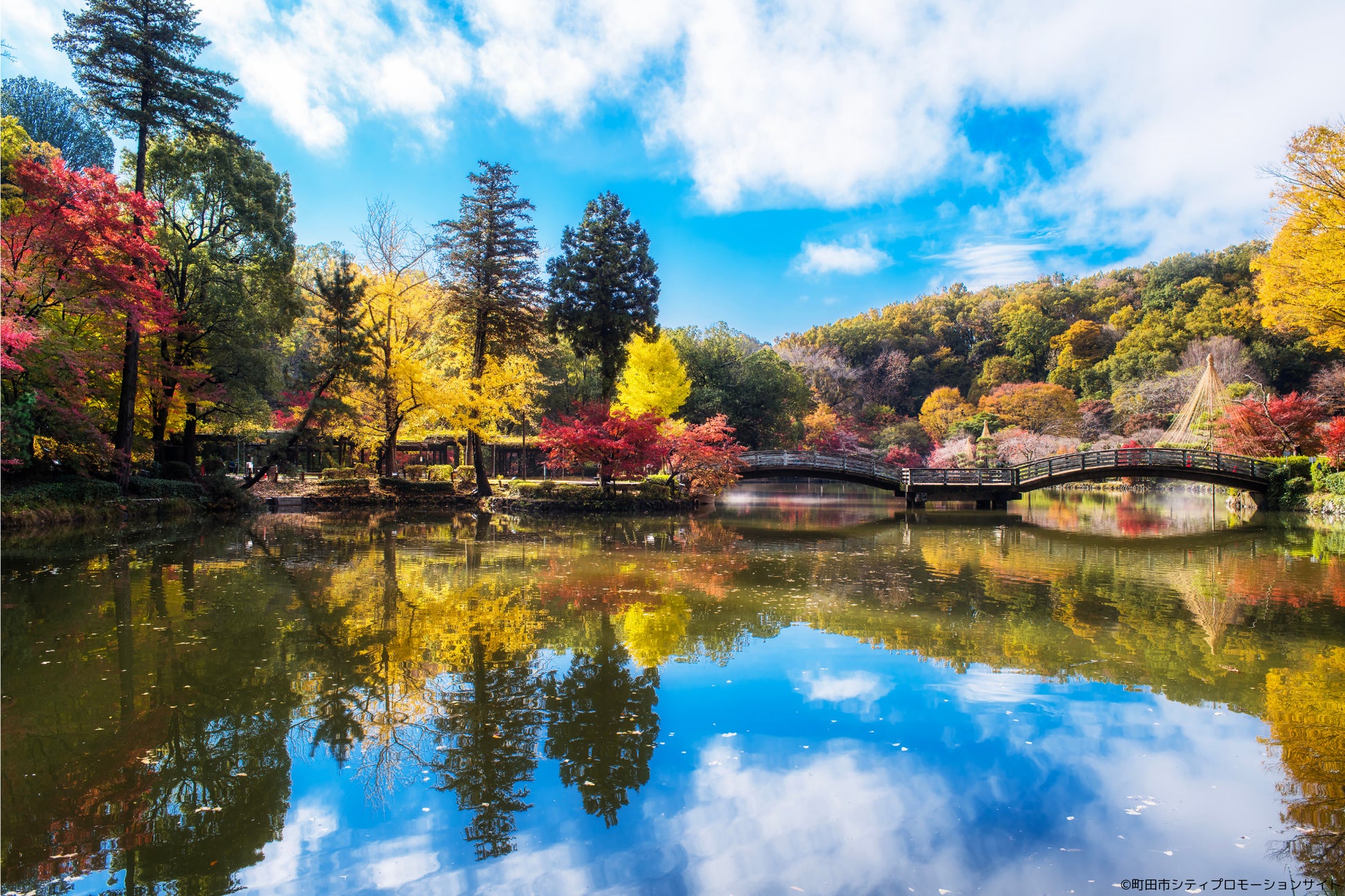 Salomonが誇る定番のトレイルランニングシューズ「S/LAB PULSAR」がフルモデルチェンジ