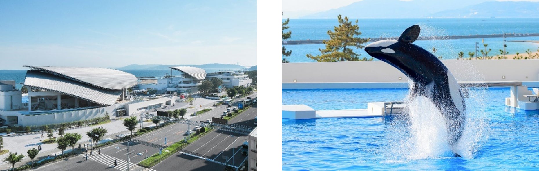 人生を変えてくれた、憧れのあなたへ! ニジゲンノモリ『忍里ナルトバースデー2025』9月より開催弐の巻 アニメ完全再現!「九喇嘛とチャクラ綱引き」