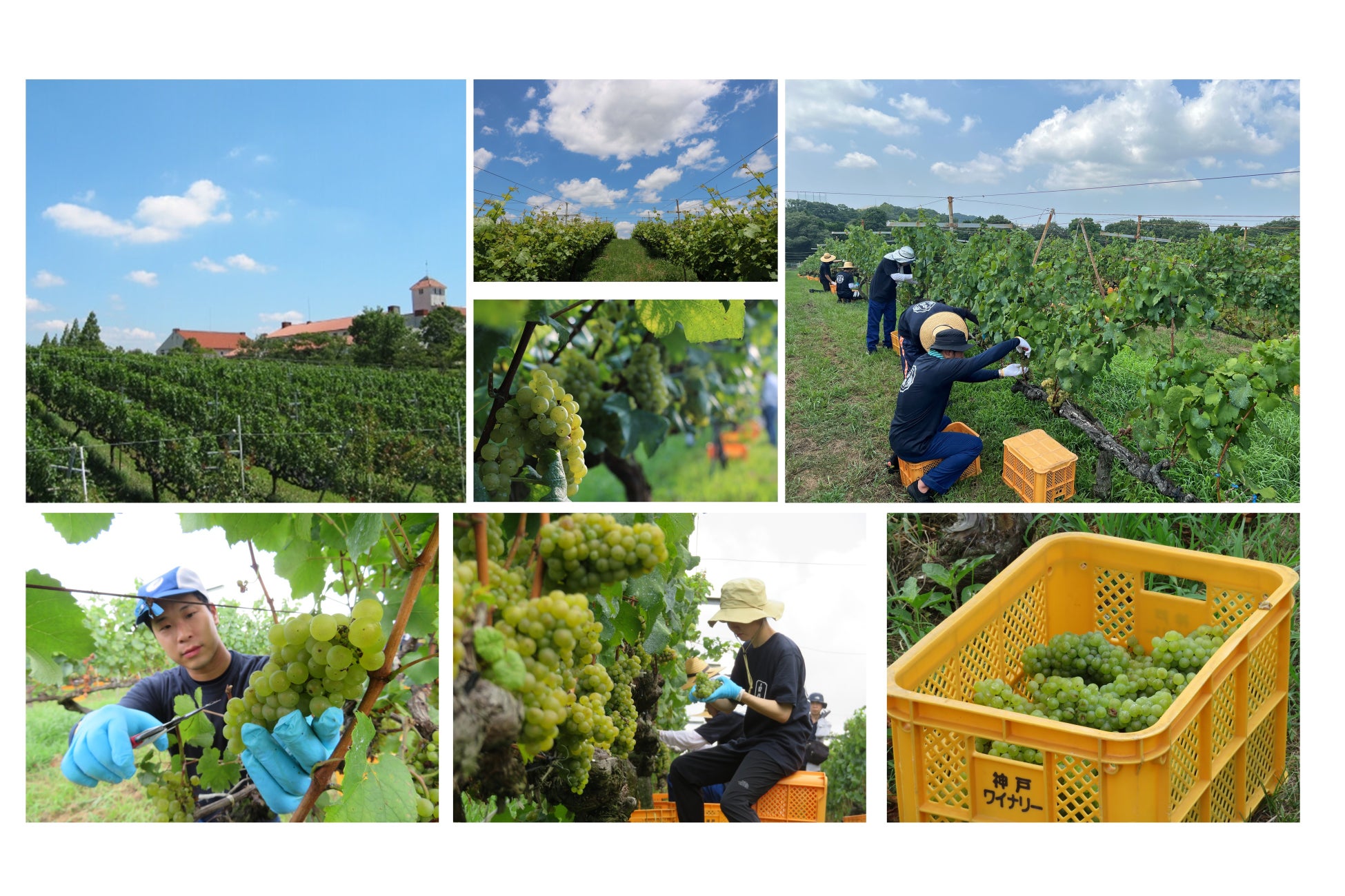新宿で秋の恵みを満喫!岩手県産鹿肉をつかったジビエや秋のスイーツを愉しむJAM17 DINING & BARの『GROOVEN AUTUMN』