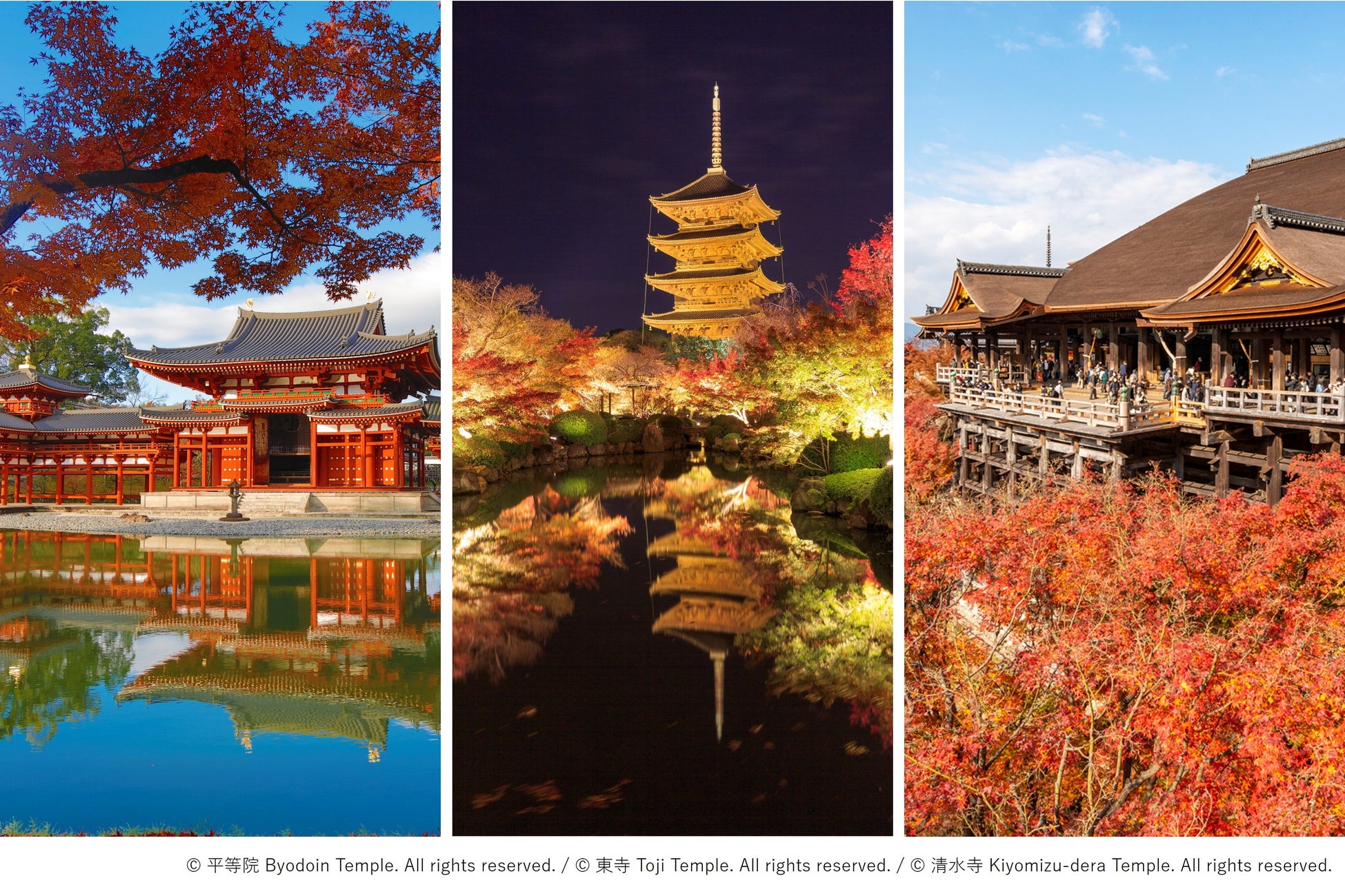 遊びながら資格が取れる「クレーンゲーム達人検定」10月1日“東京都民の日”にエブリデイ多摩ノ国での初開催が決定!東京都在住の方を抽選で無料招待!!