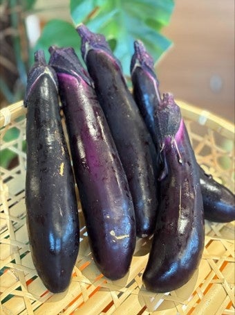 【ホテルメトロポリタン】~日本のうまいもの~【長野・新潟 信越フェア】ビュッフェを開催