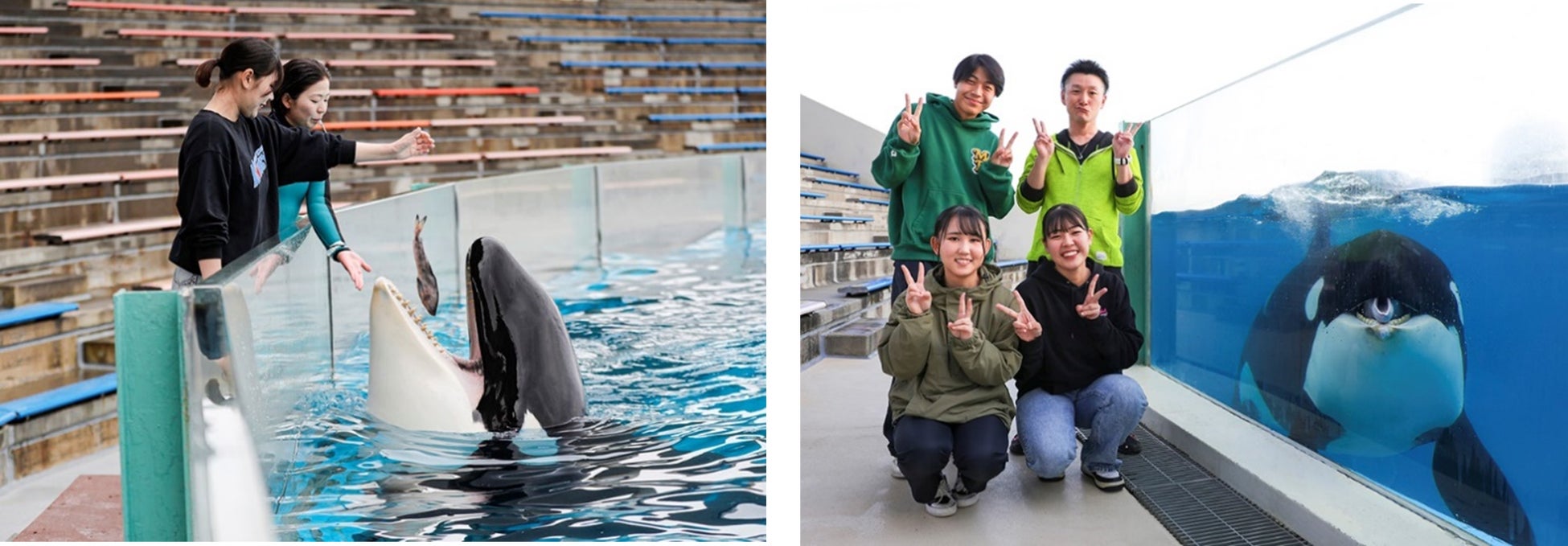 OCEAN’S CREWプロジェクトに協賛