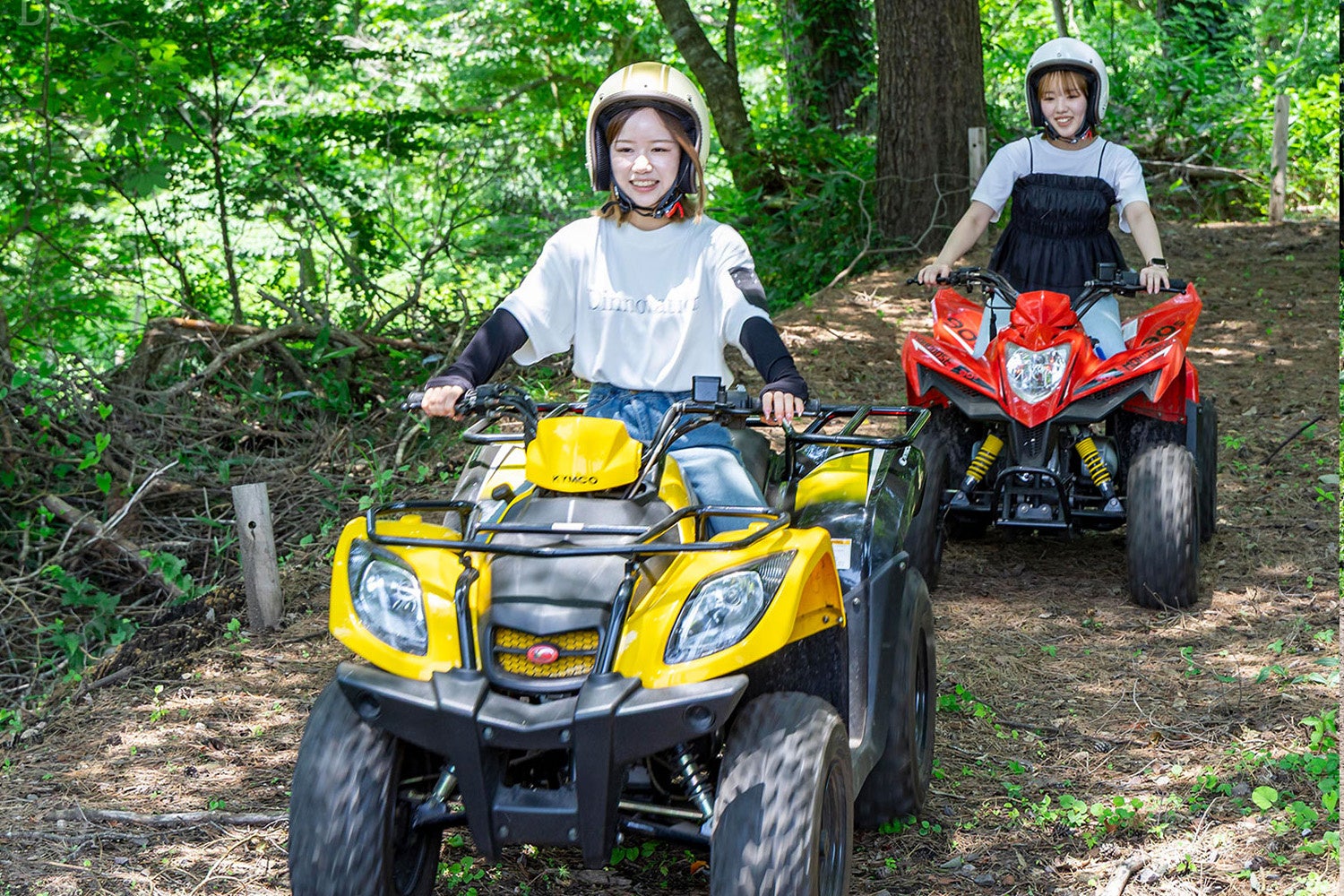 令和7年度奈良県宿泊施設立地補助金の募集開始