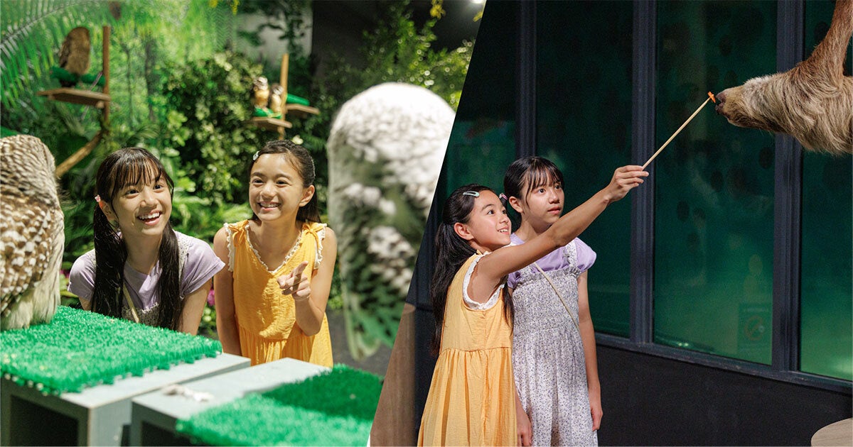 東京サマーランドの9月イベント情報!