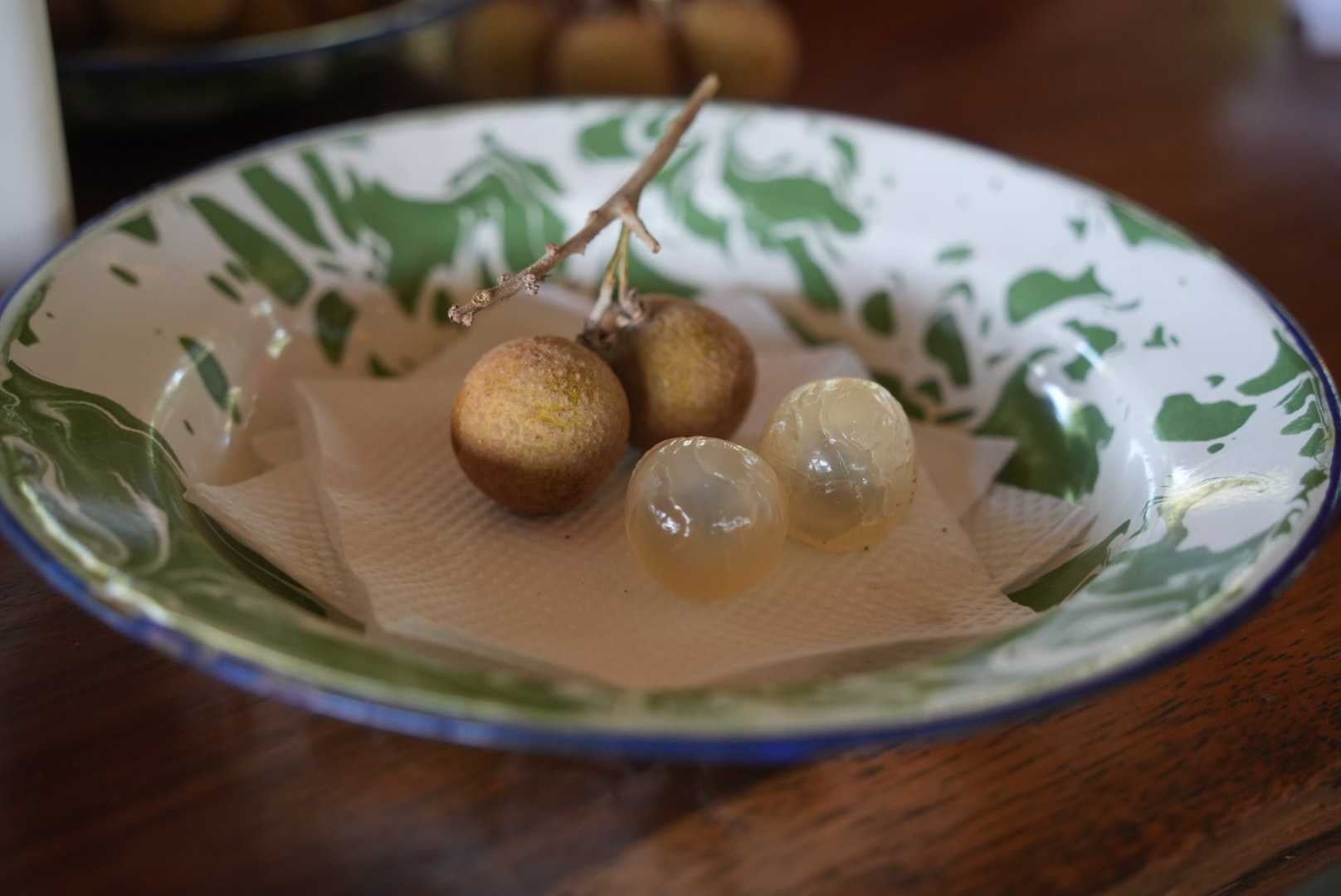 船橋競馬場にて初開催!水鉄砲で撃ち合うウォーターイベント「水合戦~Water Battle~ in 船橋競馬場」計200名の鉄砲隊員(参加者)を募集/2025年8月30日、31日(土・日)