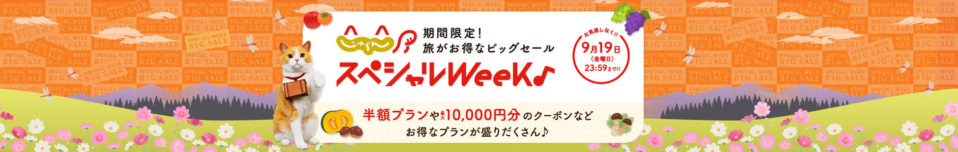 美観地区の一棟貸し宿泊施設「泊葉 – HAKUHA -」本日2025年8月27日より宿泊予約開始、2025年9月12日開業へ