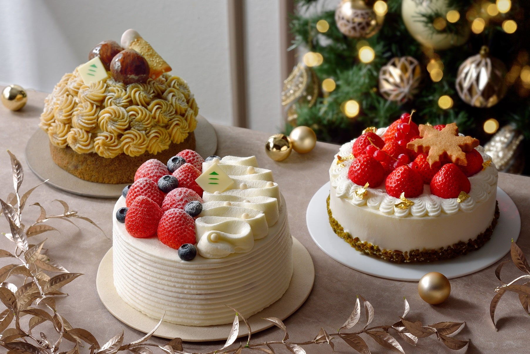 「移動」のDXで石垣島の未来を変える。furasucoと東運輸、異業種タッグで描く地域観光の未来