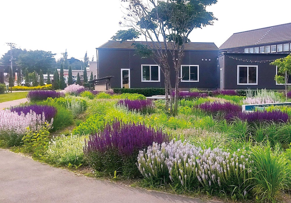 【軽井沢マリオットホテル】信州産の旬食材と地元に根付く発酵食品の融合を堪能する秋ディナー ディナーコース「Prime Shinshu -Autumn-」を発売