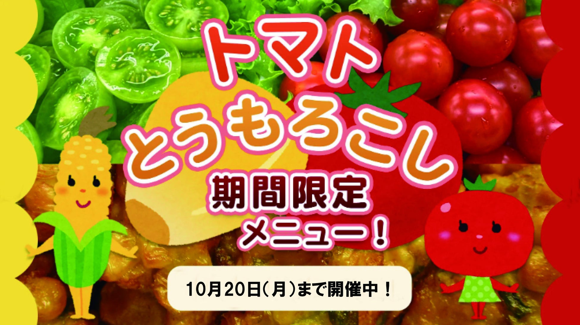 【開催レポート】「泉州夢花火 in 泉南」約2万5千人が来場、光と音が織りなす圧巻の花火演出に感動!