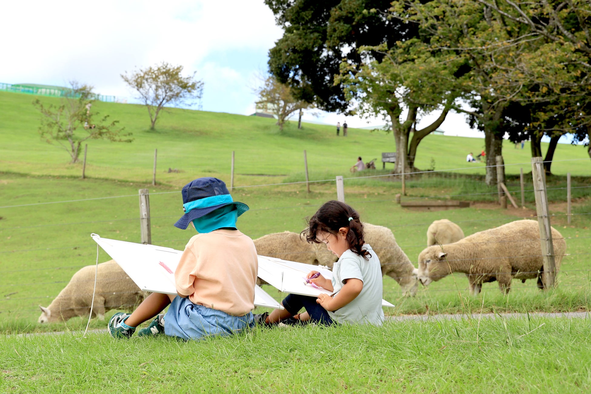 ANAあきんど×ディアステージ 共同企画 アイドルと一緒に地域を盛り上げる「推し活×地域活性プロジェクト」