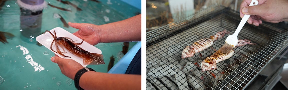 【新潟県長岡市】4日間だけの限定運行!秋の行楽シーズンは快速「摂田屋Shu*Kura」で新潟の旅へ!