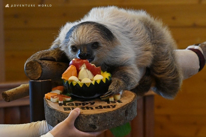 企画好評の洋酒フェア第三弾は情熱的なプレミアムテキーラ「トレスジェネレーション」フェア！ 大阪ベイの夕景をデザインしたカクテルや無料のウェルカムショットで秋の夜長を満喫