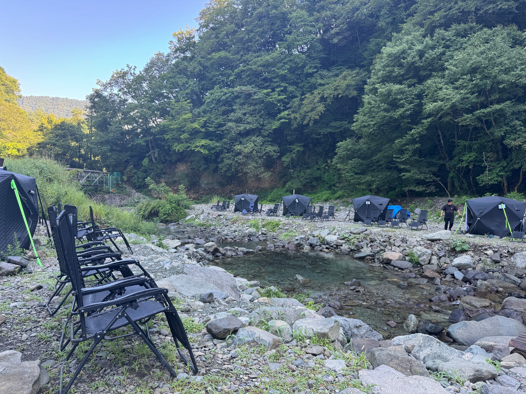 港区立みなと科学館 2025秋の企画展「ちがうってふしぎ! ~絵本んから考えるネコとイヌ~」開催について