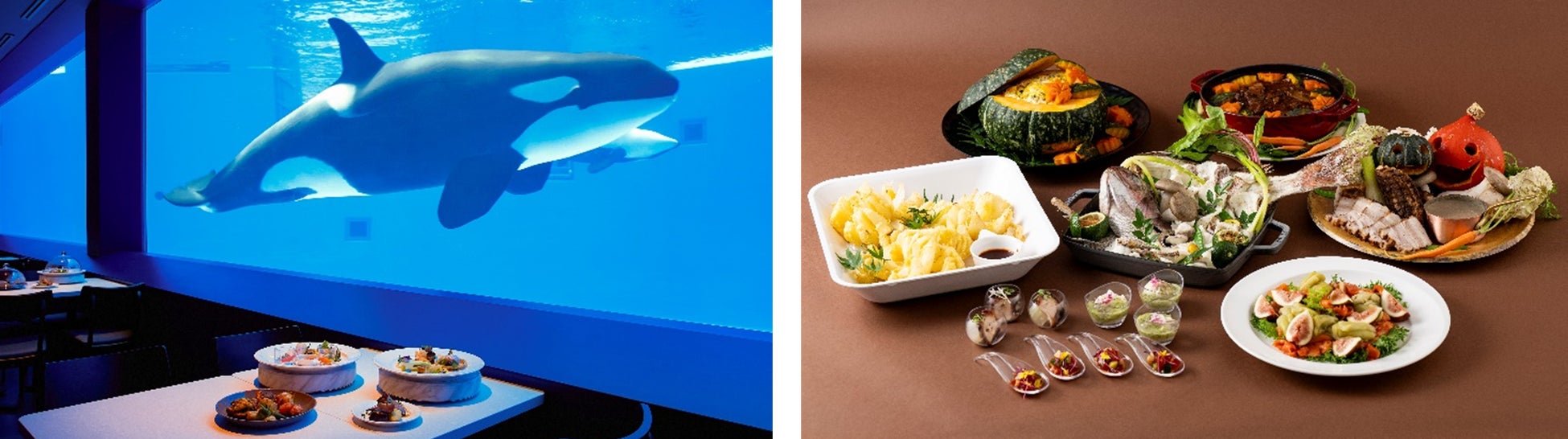 【横浜・八景島シーパラダイス】遅めの夏休みや夏の締めくくりに最適!まだまだ夏を満喫できるシーパラならではのイベント!夏パラ!水あそび&夜あそび レイトサマー