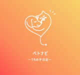 【限定10組】「とろ生バスチー」完成記念 特別試食会