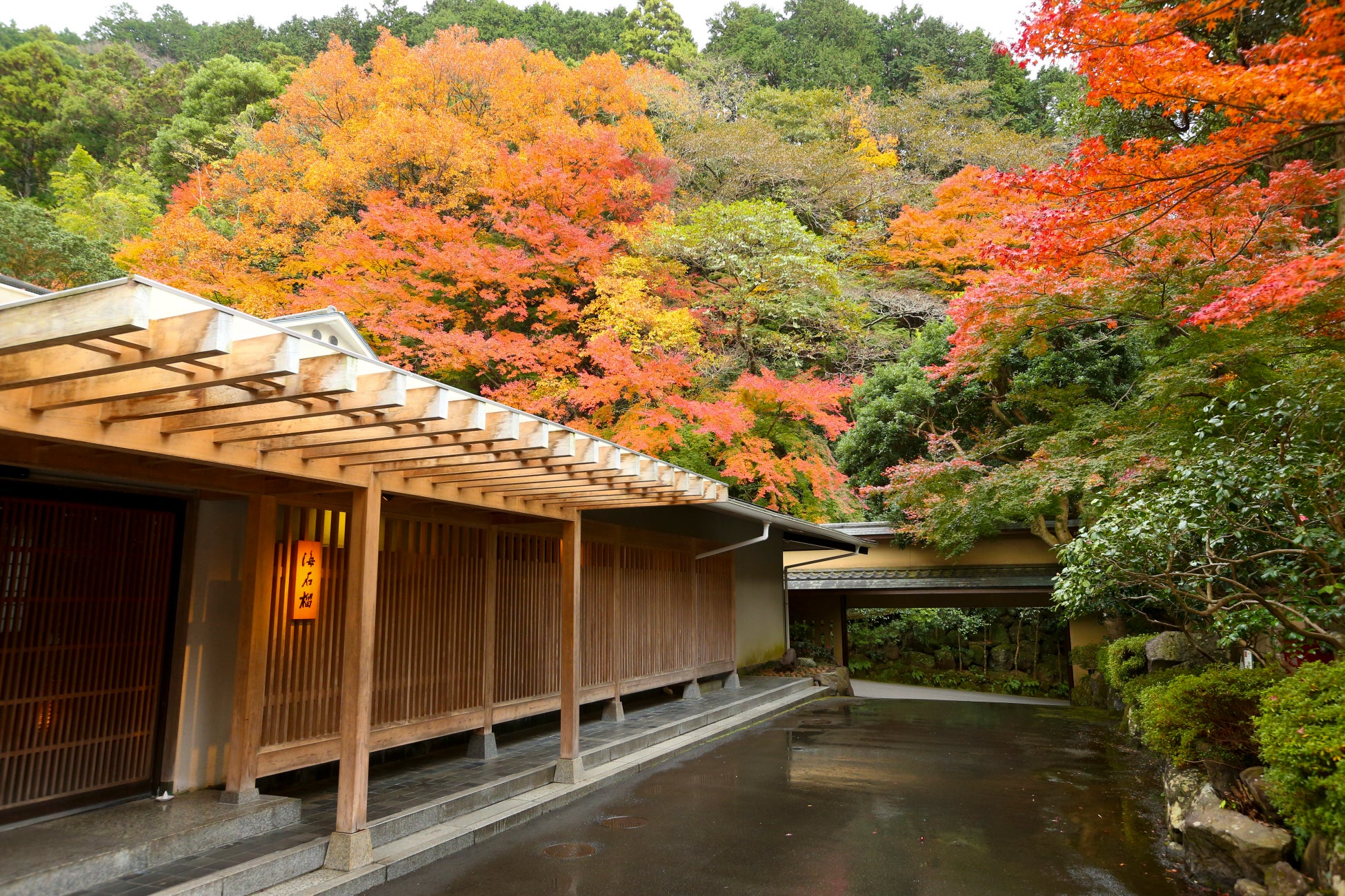 大阪・関西万博 TEAM EXPOパビリオン出展 ~外国人向け医療で「誰一人取り残さない社会」を実現~