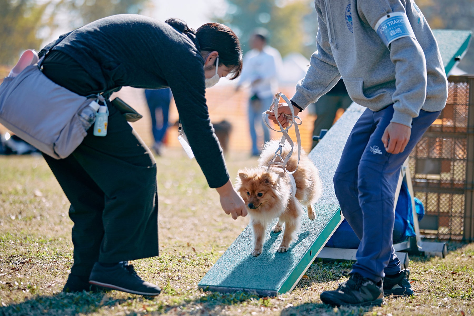 【BS日テレ】友近 故郷・愛媛でも冴えるアドリブ力! ハリセンボン春菜と即興芝居連発