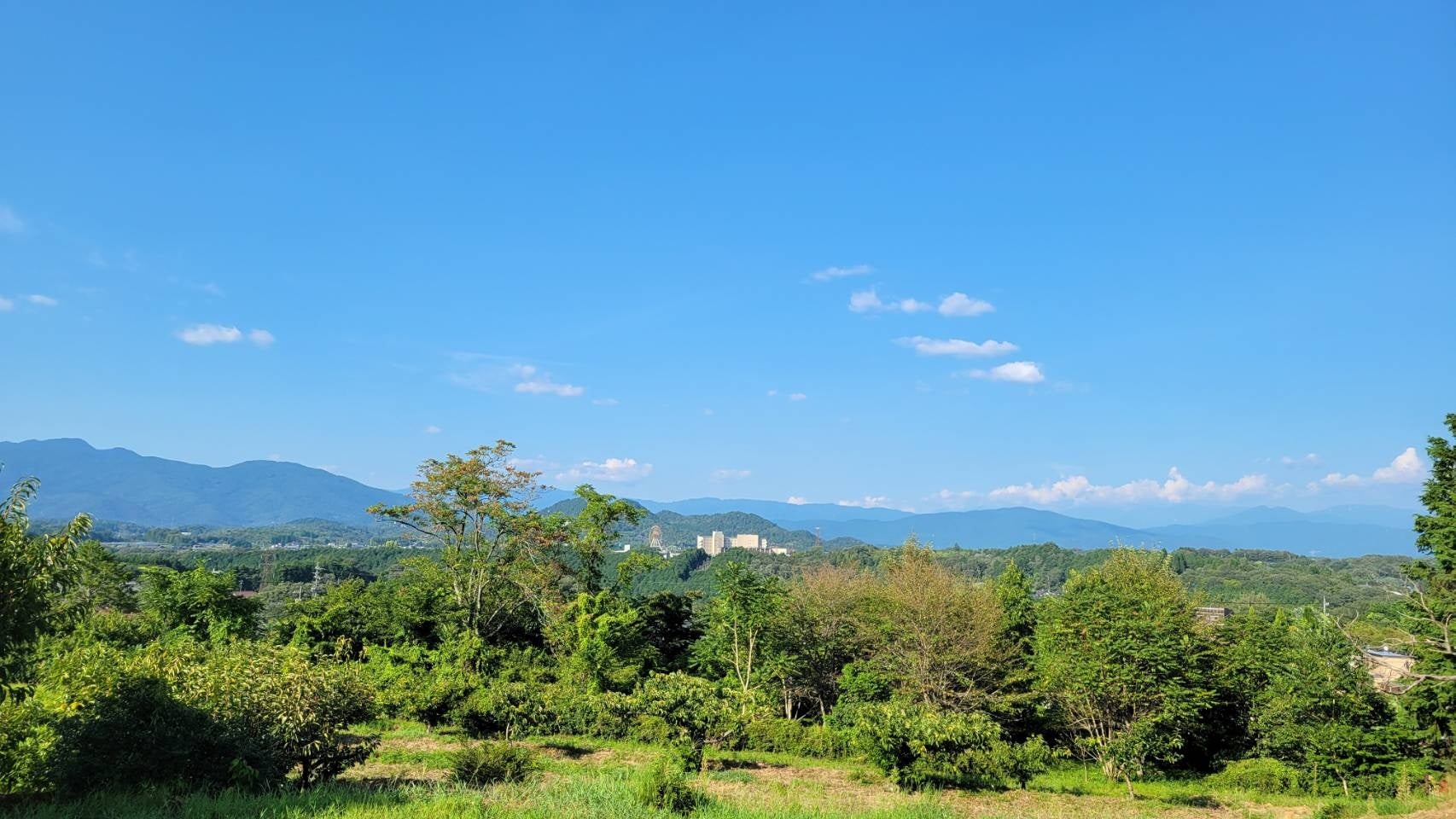 【青森県×JAL×星野リゾート共同企画】東京羽田=三沢の4便化定着を推進する「のれそれ⻘森旅キャンペーン2025 ~跳ねるこころ、ハマる青森!~」第二弾開催!