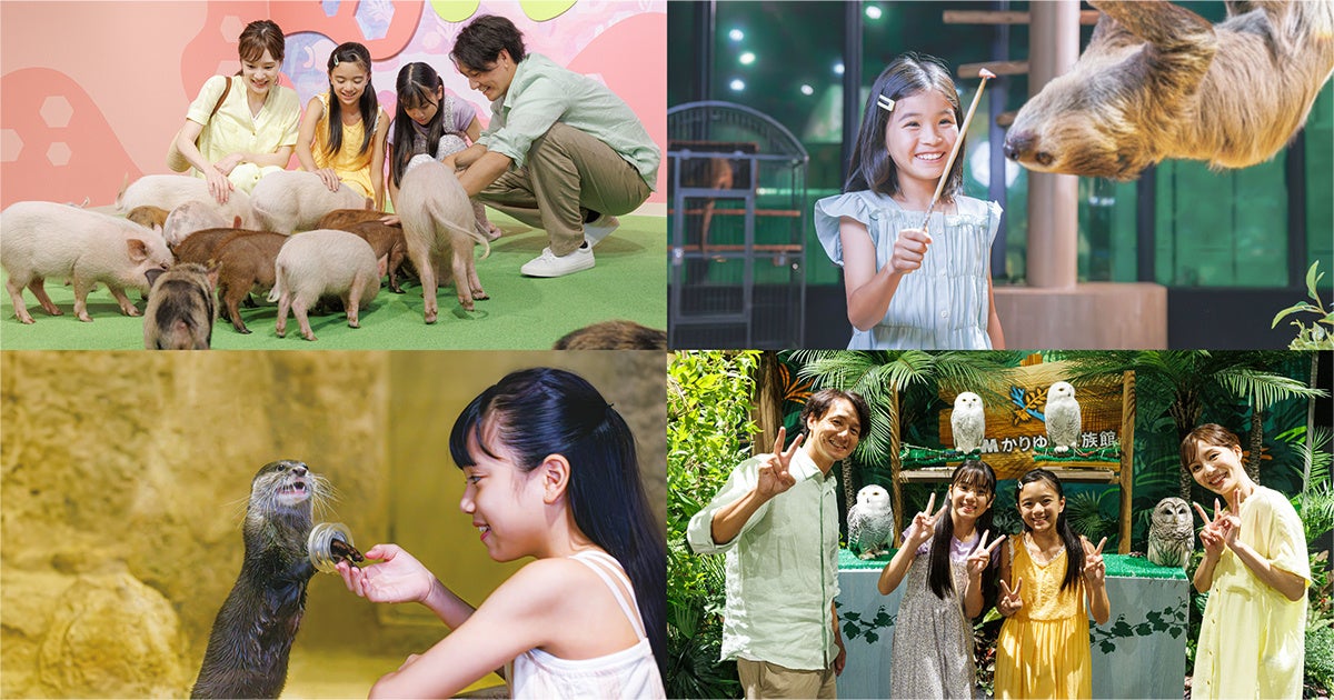 兵庫・湯村温泉「湧泉の宿ゆあむ」、9月に漁解禁/秋の味覚・香住ガニ付プランを販売【2025年9月5日(金)~10月31日(金)】