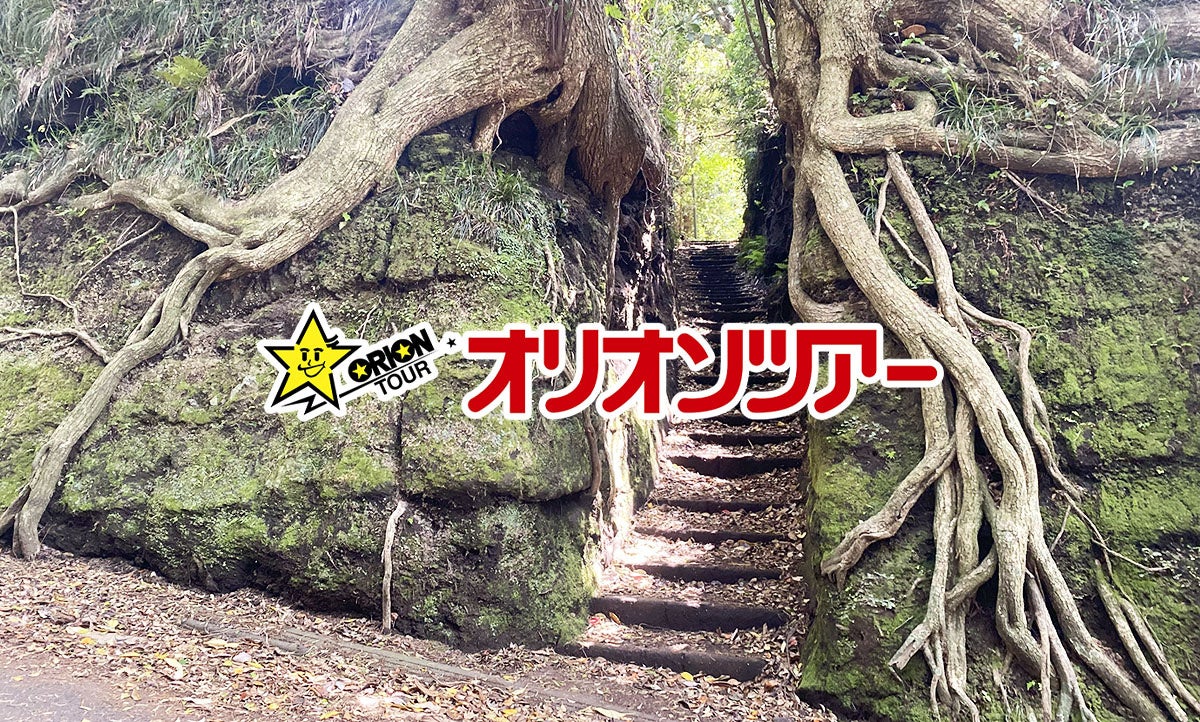 【20代〜60代以上100名に調査】訪問着をレンタルしたことは?選ぶ上でのポイントも調査