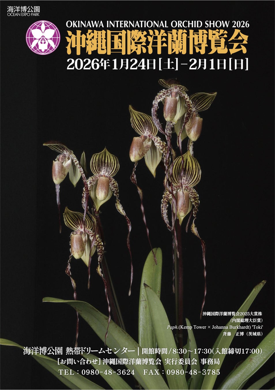 【横浜・八景島シーパラダイス】オタリアの赤ちゃん 8月29日(金)誕生!