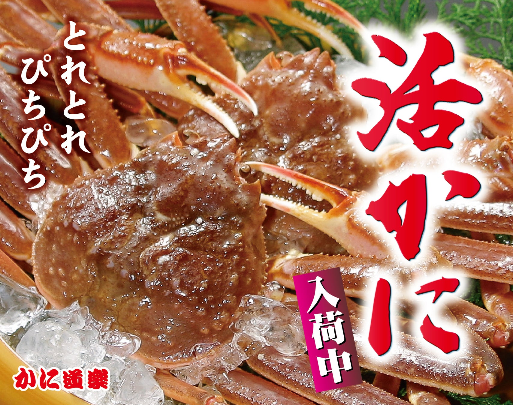 《リゾートグランピングドットコム》秋の旅行支援キャンペーン『オータムSALE』実施中!~宿泊割引・グループ特典・お子さま無料など、紅葉グランピング&食欲の秋アクティビティをお得に体験