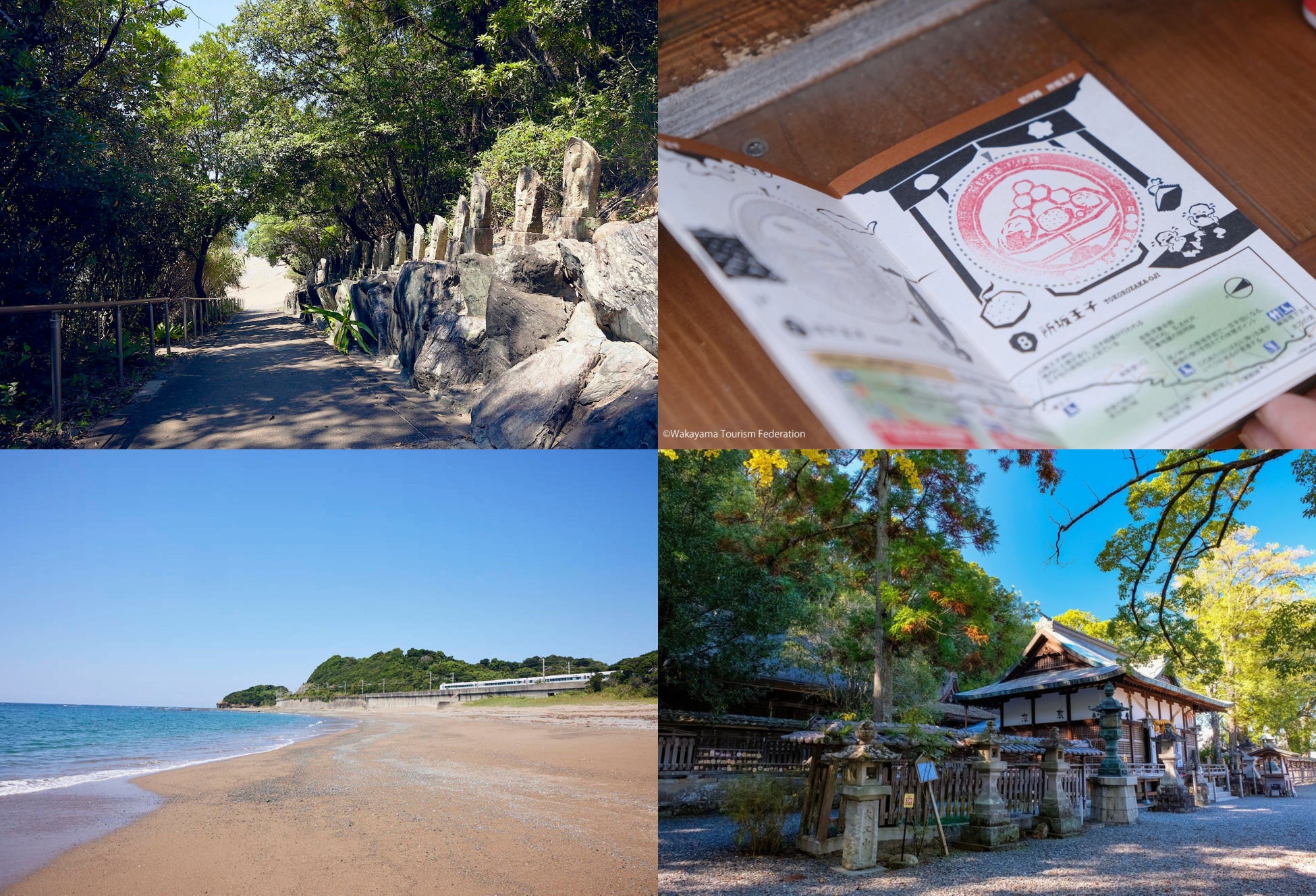 【沖縄・宮古島発】ジュゴン調査ツアーが「Japan Travel Awards 2026」ファイナリストに選出