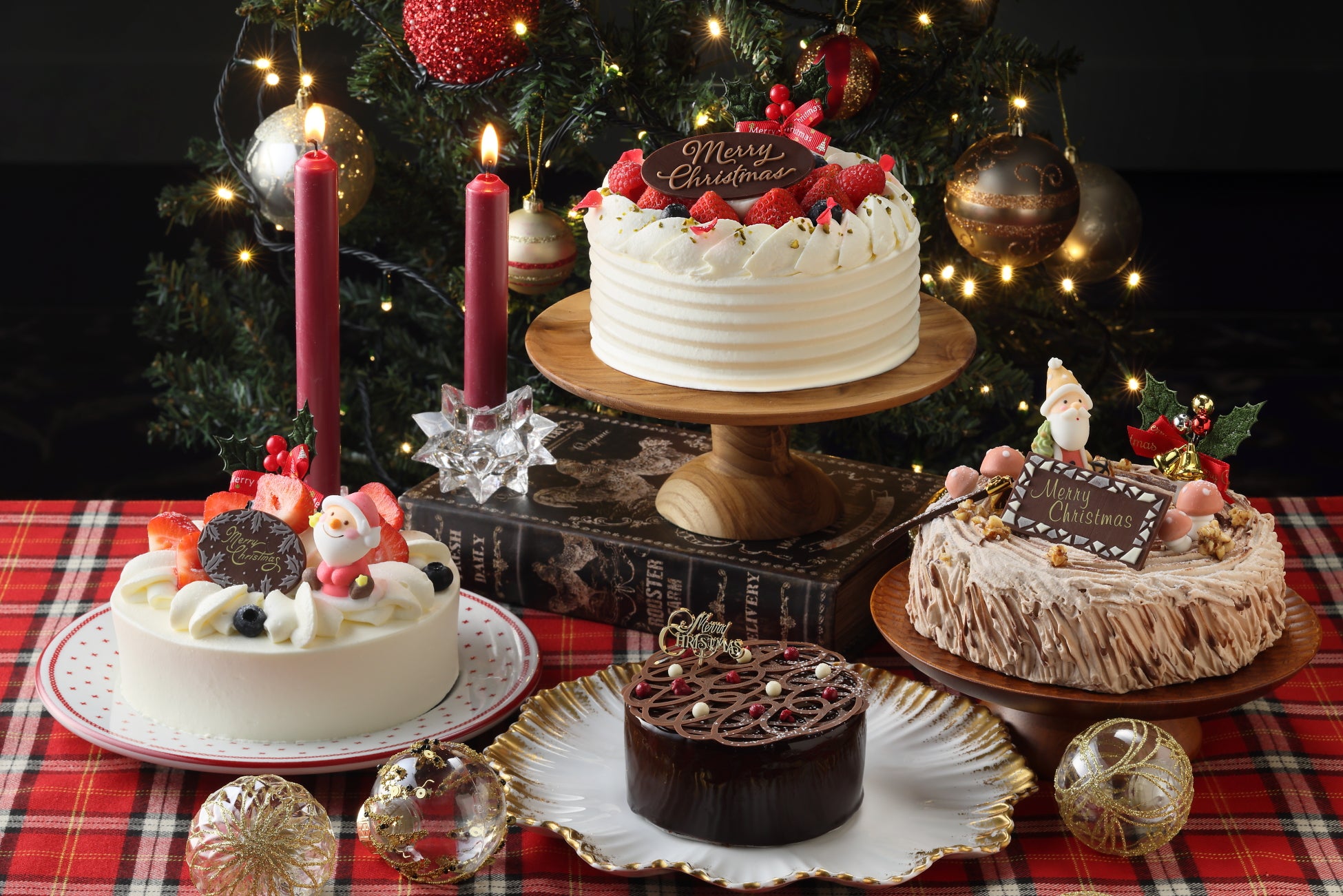 【沖縄・宮古島発】ジュゴン調査ツアーが「Japan Travel Awards 2026」ファイナリストに選出