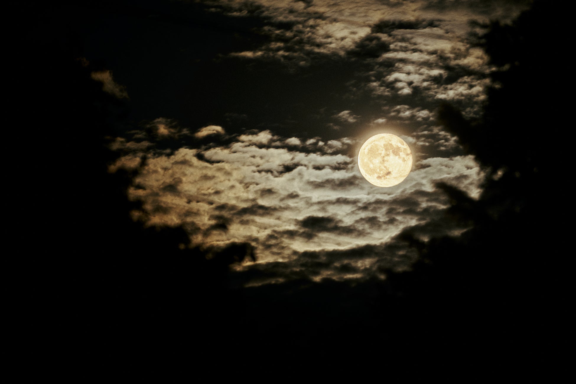 QEEQが教える海外レンタカー保険の選び方 ― 安心・安全なドライブのための完全ガイド