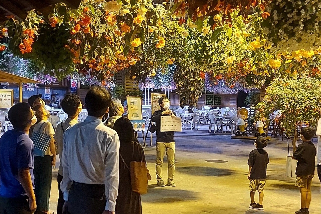 【苗場スキー場・かぐらスキー場】スリルと感動の連続!2つの日本一の絶景体験!苗場ドラゴンドラ・田代ロープウェー 紅葉営業を開始【運行期間】2025年10月11日(土)~11月9日(日)