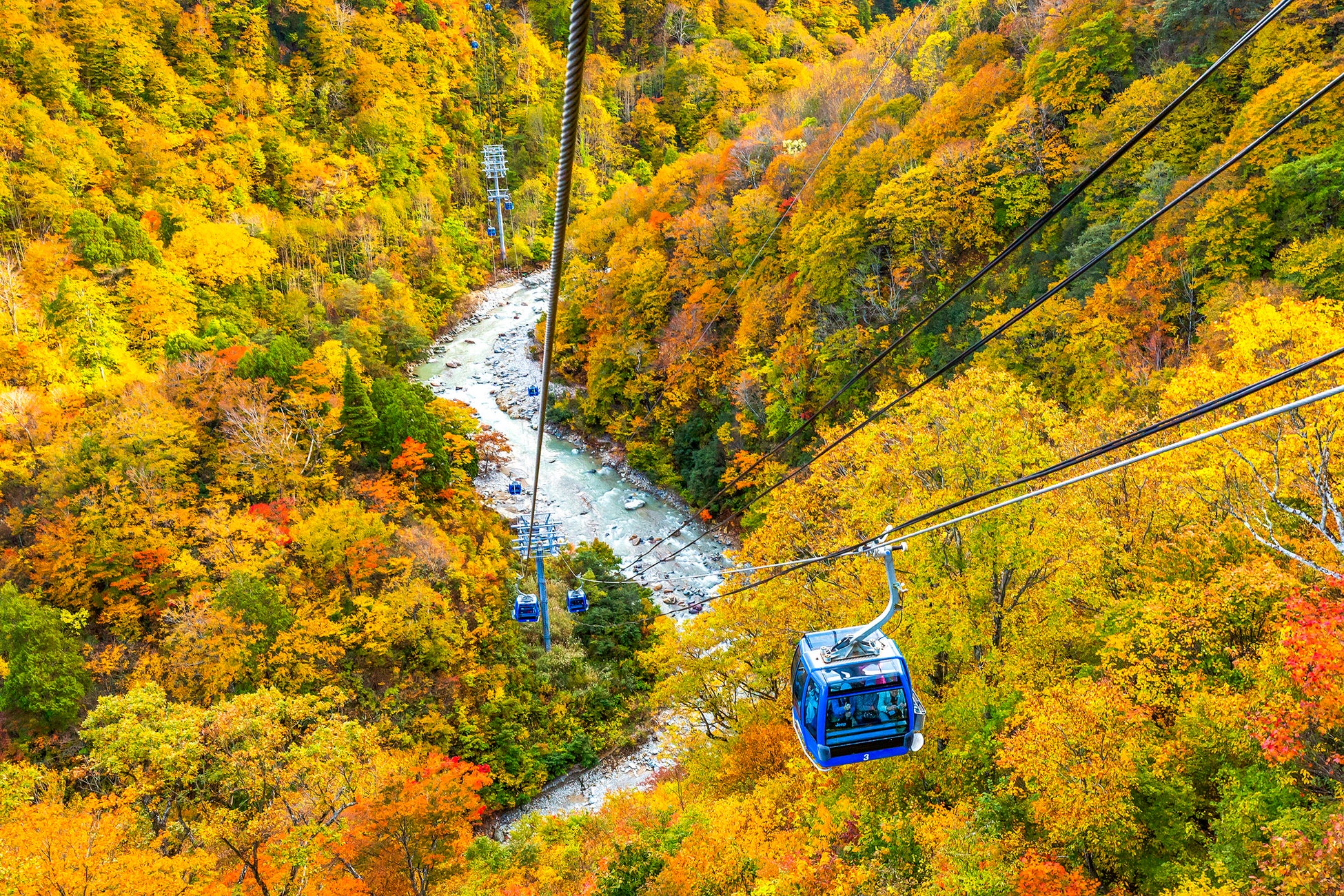 第100回「東京インターナショナルギフト・ショー 秋2025」出展のご案内