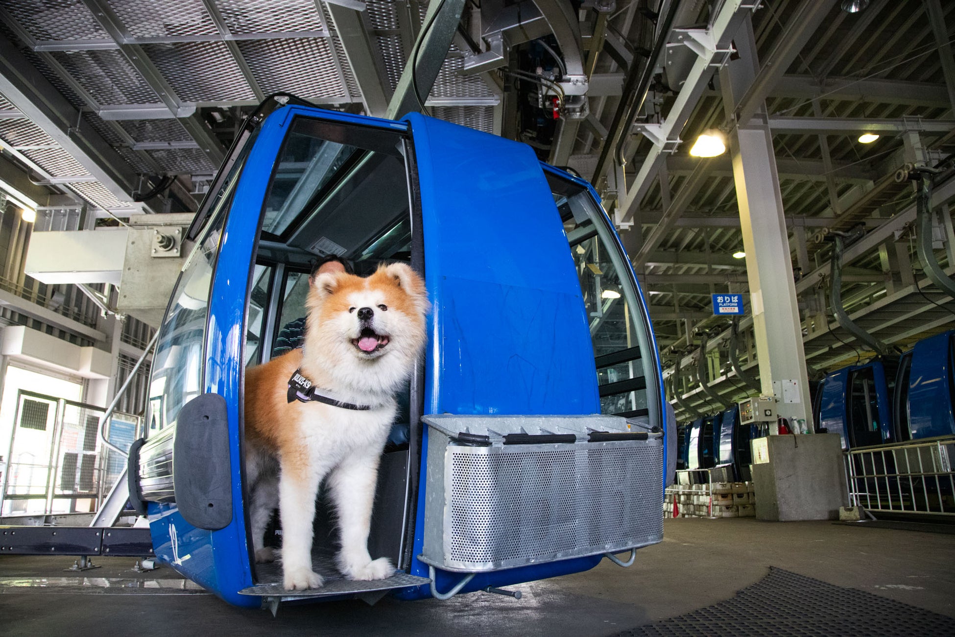 大阪・関西万博 門真市の「ものづくりテーマパーク」