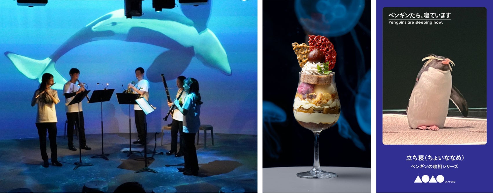 アルペンが長野県のスポーツ振興を支援 「信州地域クラブ活動応援サポーター」として全国初の取り組みを開始!